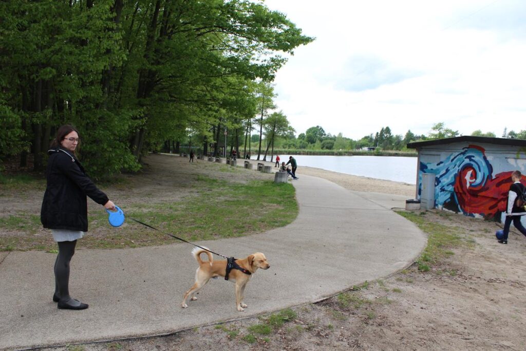 staw śmieszek w żorach - vlog steina