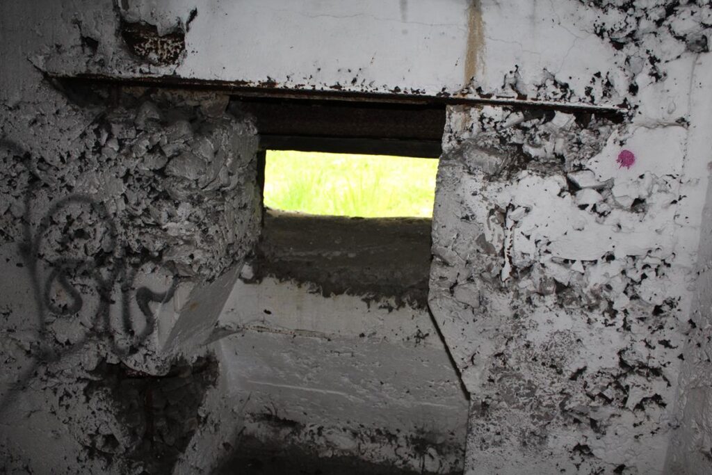 bunkry stanowice - Vlog Steina