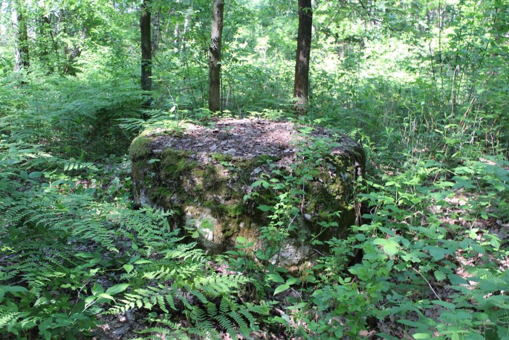 Schrony i bunkry w miejscowości Wymysłów