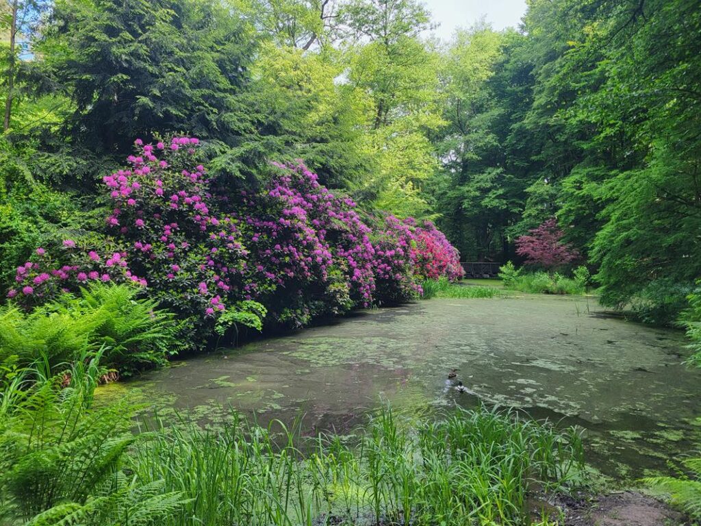 Arboretum Bramy Morawskiej - Obora w Raciborzu // Vlog Steina