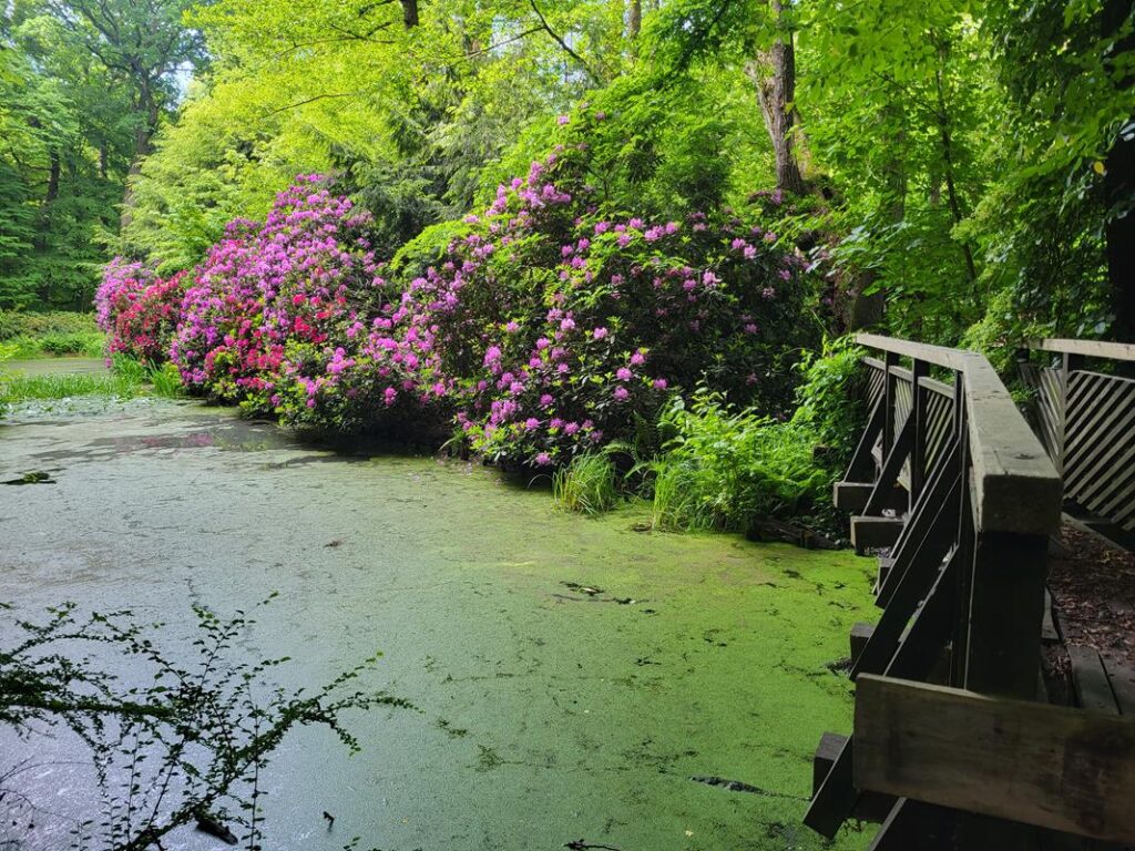 Arboretum Bramy Morawskiej - Obora w Raciborzu // Vlog Steina