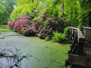 Arboretum Bramy Morawskiej - Obora w Raciborzu // Vlog Steina