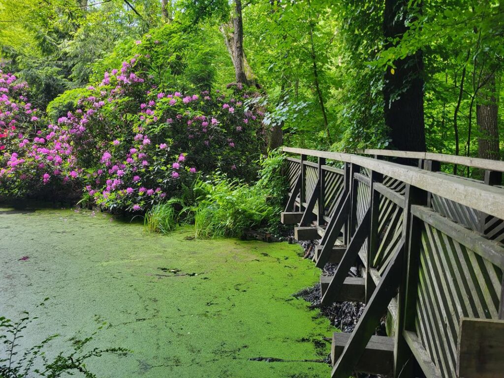 Arboretum Bramy Morawskiej - Obora w Raciborzu // Vlog Steina