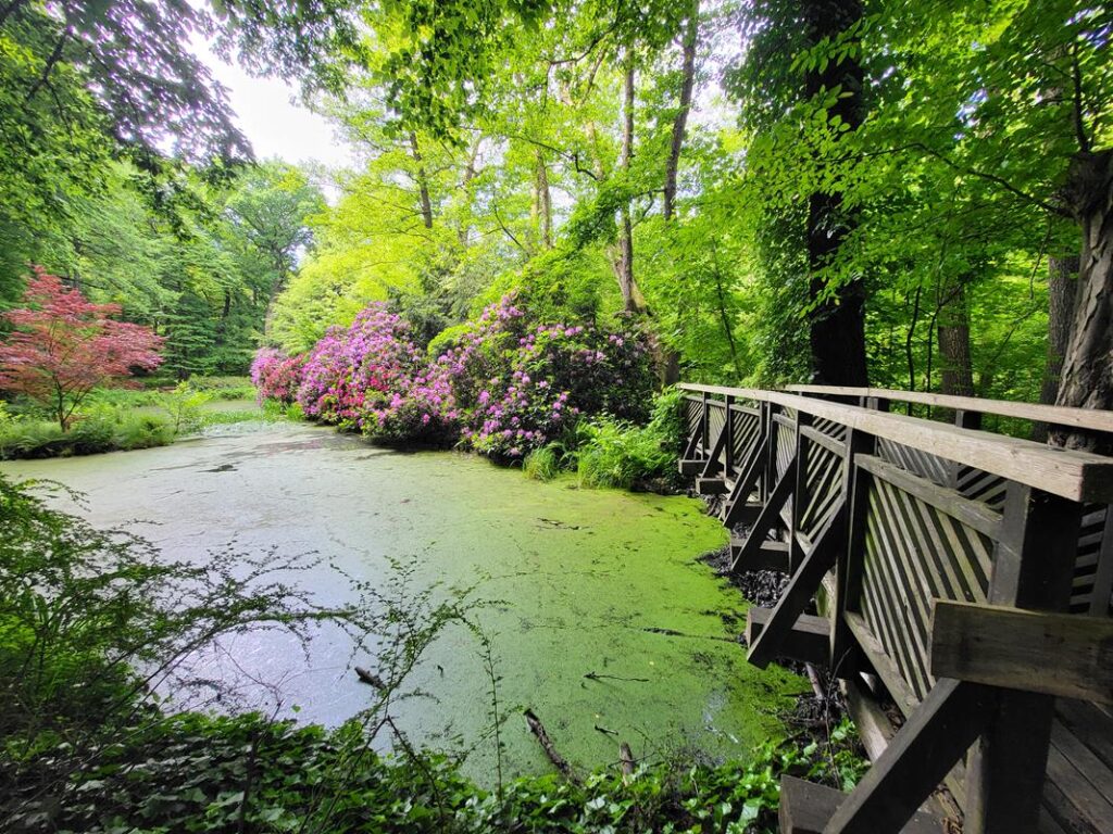 Arboretum Bramy Morawskiej - Obora w Raciborzu // Vlog Steina
