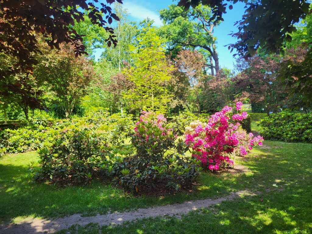 Arboretum Bramy Morawskiej - Obora w Raciborzu, zaczarowany ogród // Vlog Steina