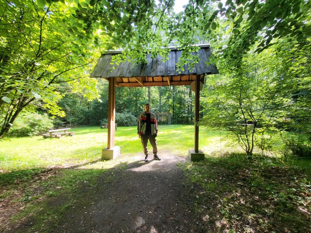 Arboretum Bramy Morawskiej - Obora w Raciborzu, dezyderata // Vlog Steina