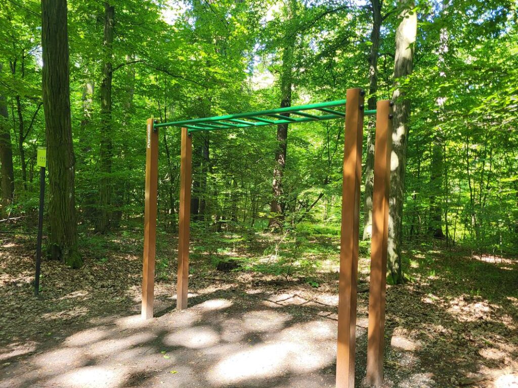 Arboretum Bramy Morawskiej - Obora w Raciborzu, dezyderata // Vlog Steina