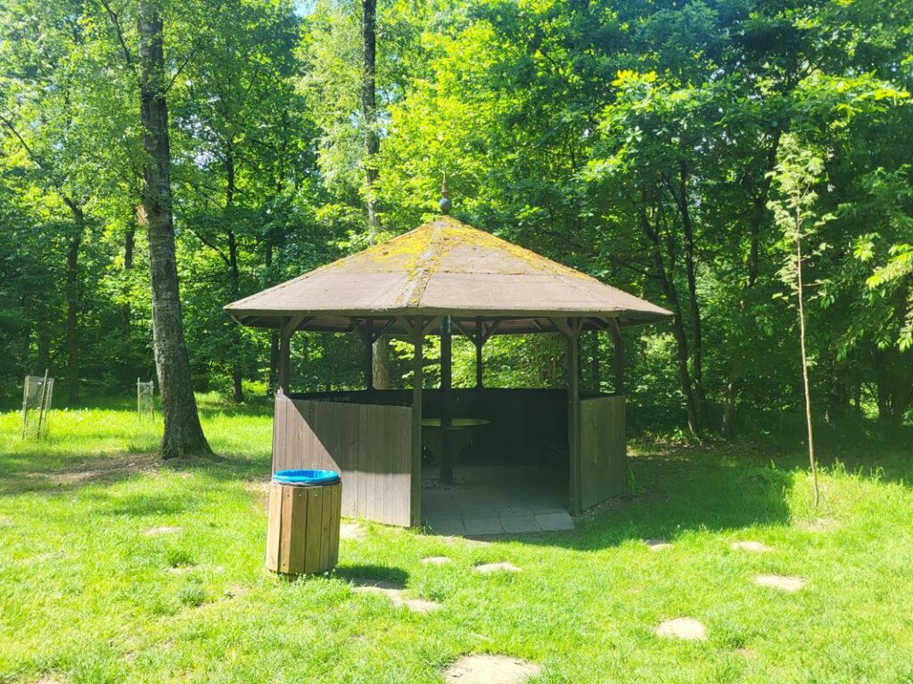 Arboretum Bramy Morawskiej - Obora w Raciborzu // Vlog Steina