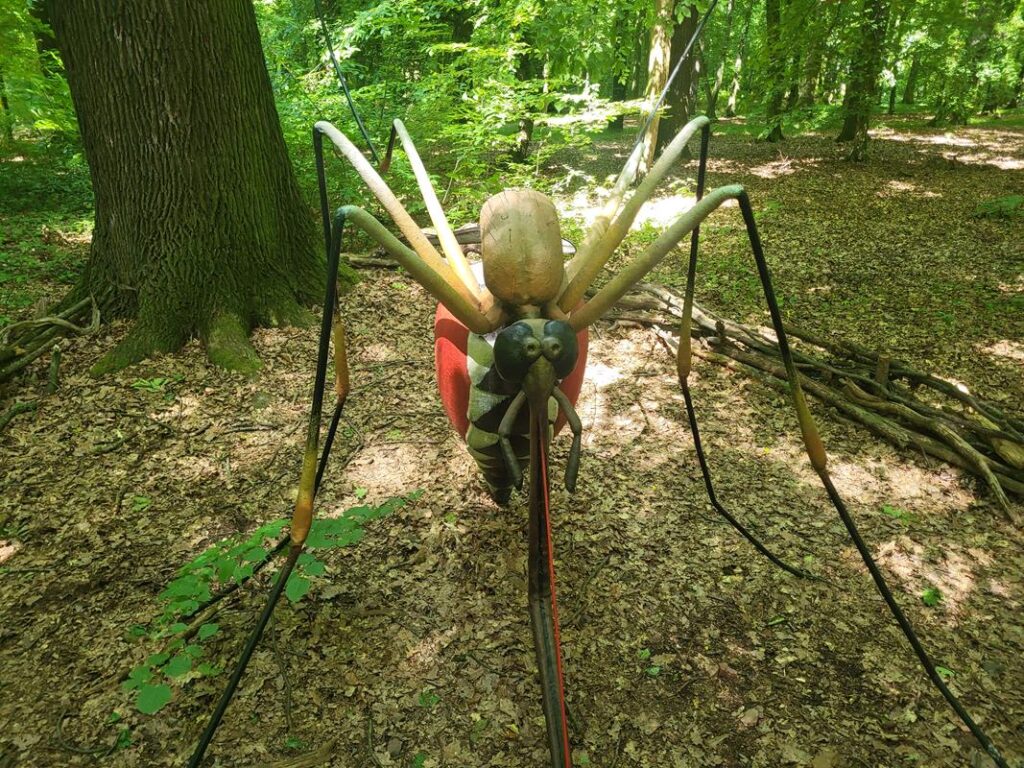 Owady w skali makro w arboretum bramy morawskiej w Raciborzu // Vlog Steina