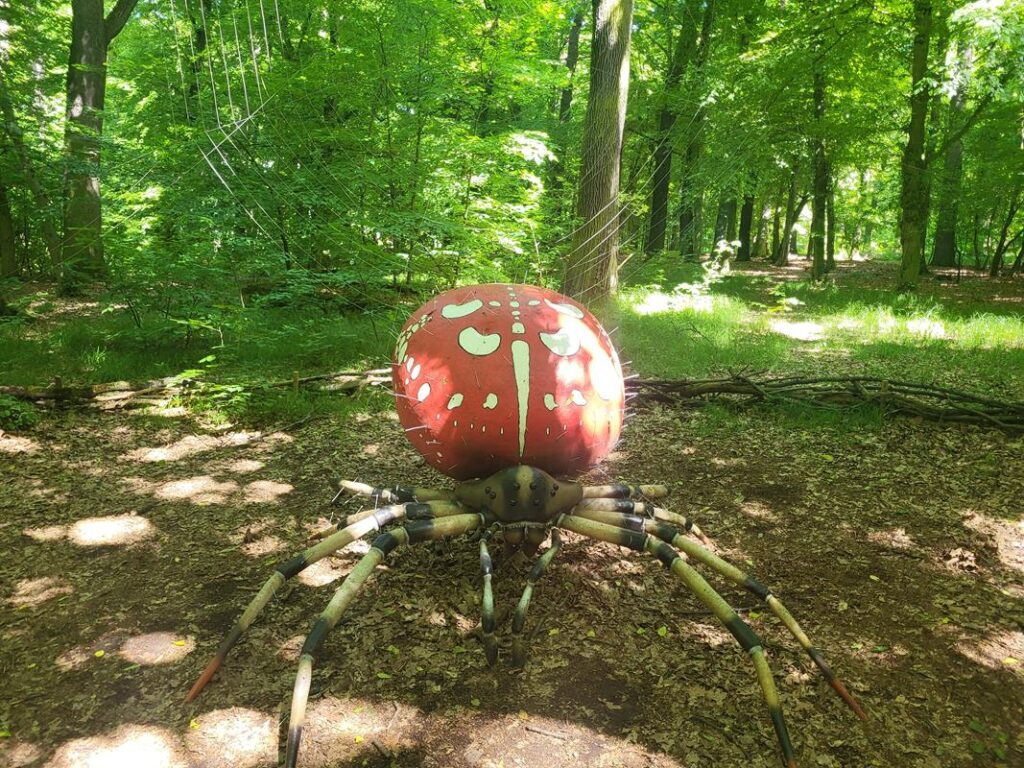 Owady w skali makro w arboretum bramy morawskiej w Raciborzu // Vlog Steina