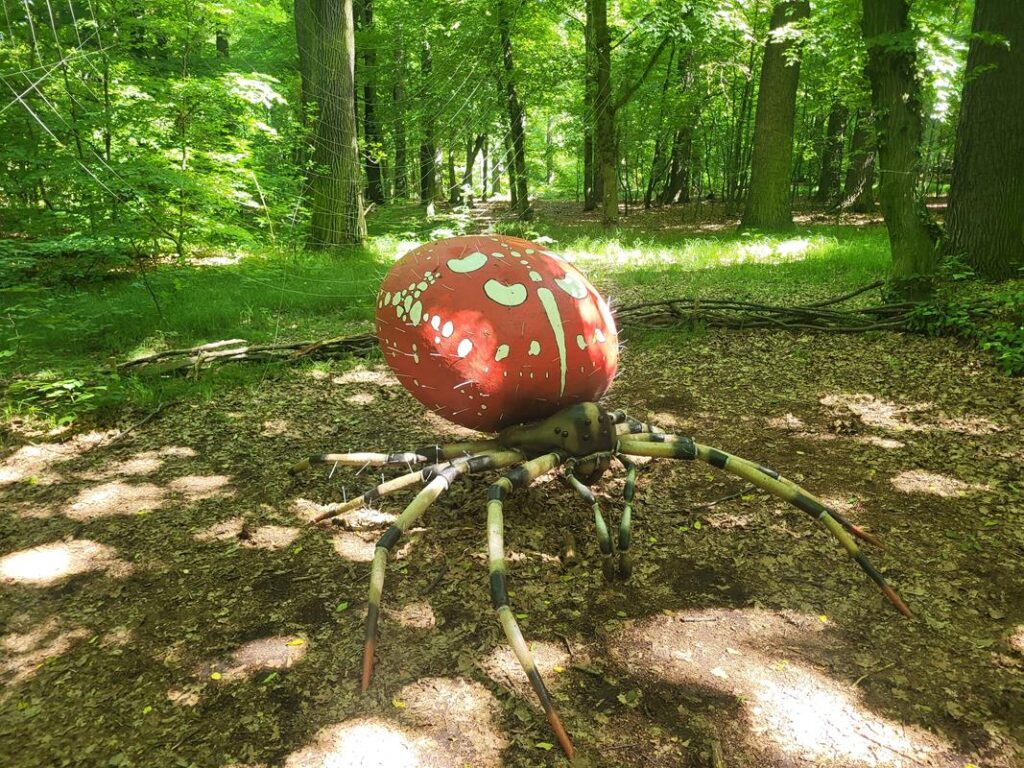 Owady w skali makro w arboretum bramy morawskiej w Raciborzu // Vlog Steina