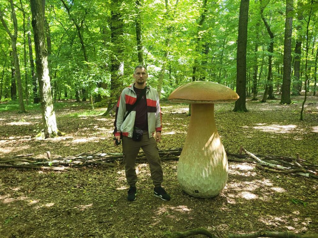 Owady w skali makro w arboretum bramy morawskiej w Raciborzu // Vlog Steina