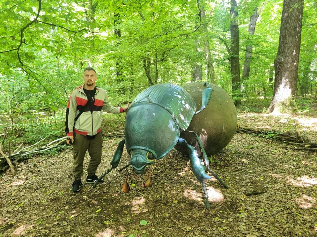 Owady w skali makro w arboretum bramy morawskiej w Raciborzu // Vlog Steina