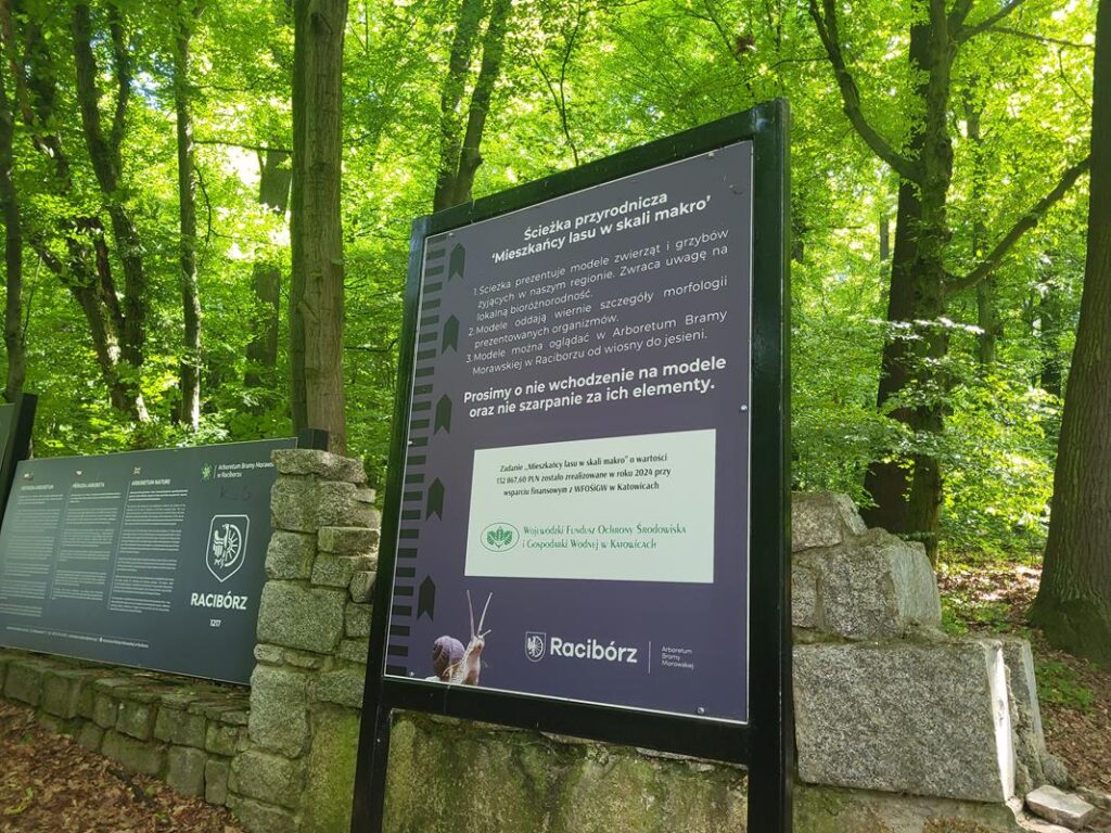 Arboretum Bramy Morawskiej - Obora w Raciborzu // Vlog Steina