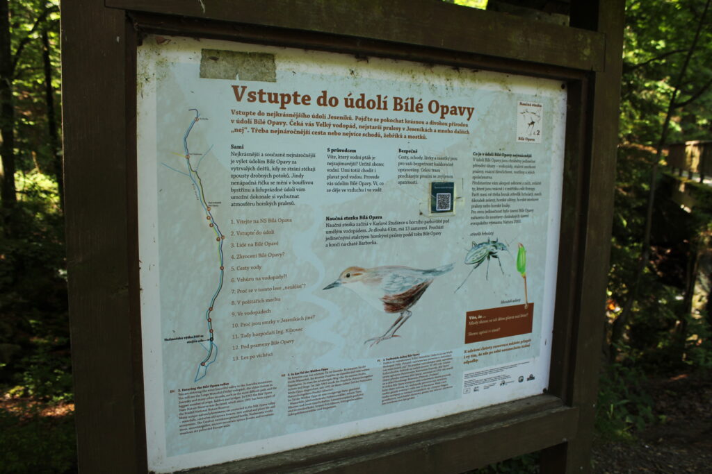 Szlakiem białej Opawy na szczyt góry pradziad w czechach - vlog steina