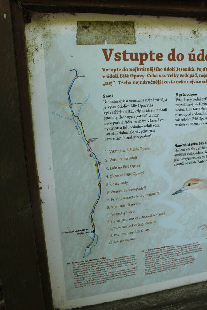 Szlakiem białej Opawy na szczyt góry pradziad w czechach - vlog steina