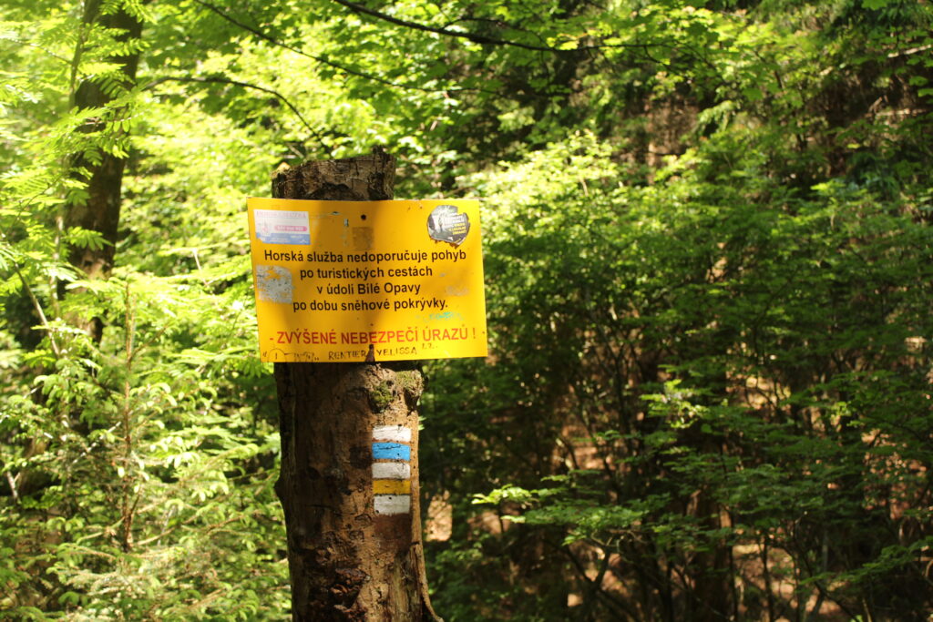 Szlakiem białej Opawy na szczyt góry pradziad w czechach - vlog steina