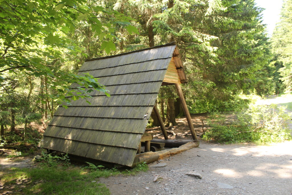 Szlakiem białej Opawy na szczyt góry pradziad w czechach - vlog steina