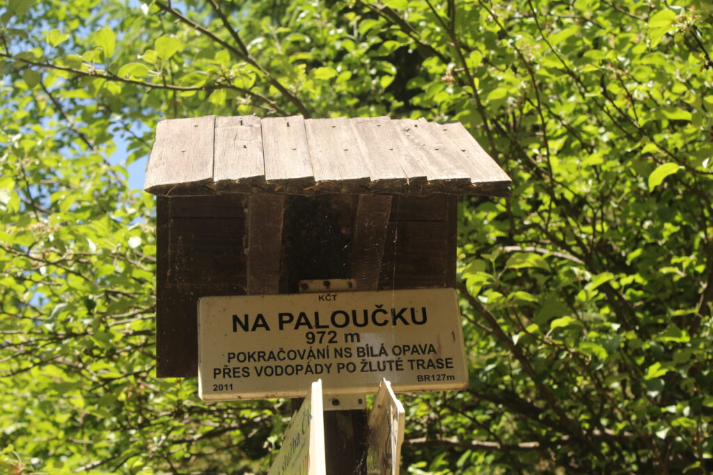 Szlakiem białej Opawy na szczyt góry pradziad w czechach - vlog steina