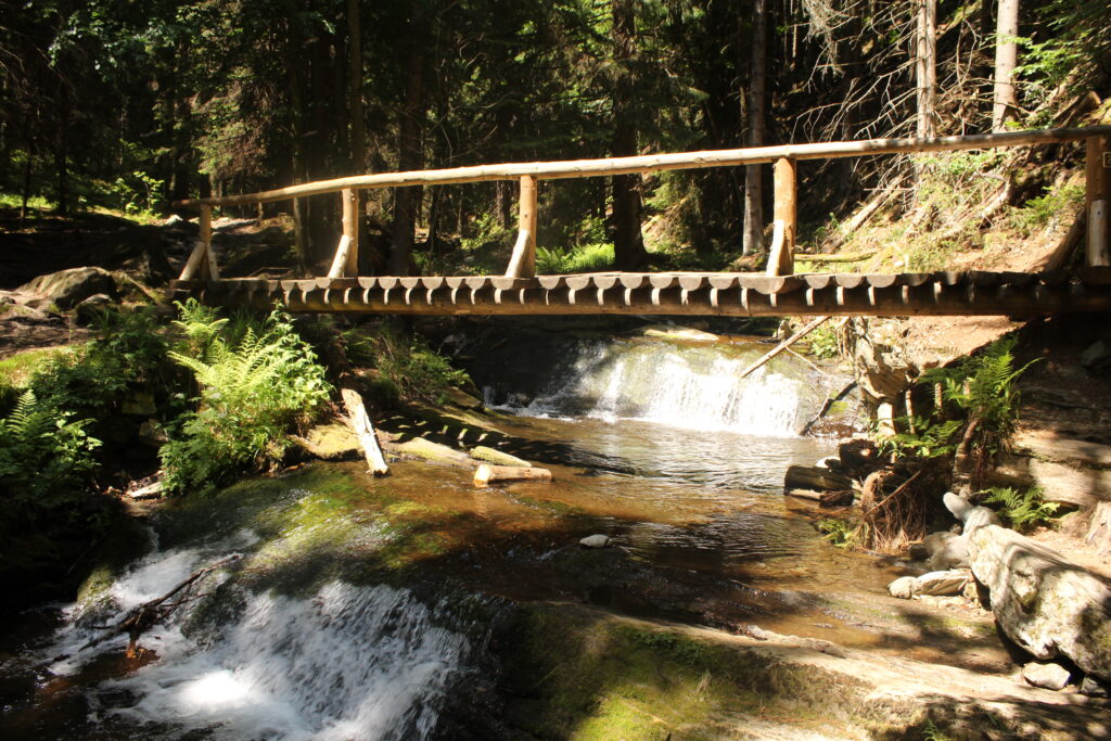 Szlakiem białej Opawy na szczyt góry pradziad w czechach - vlog steina