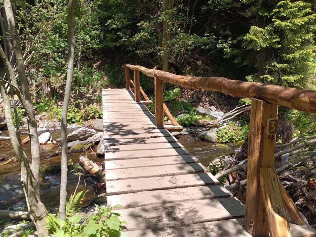 Szlakiem białej Opawy na szczyt góry pradziad w czechach - vlog steina