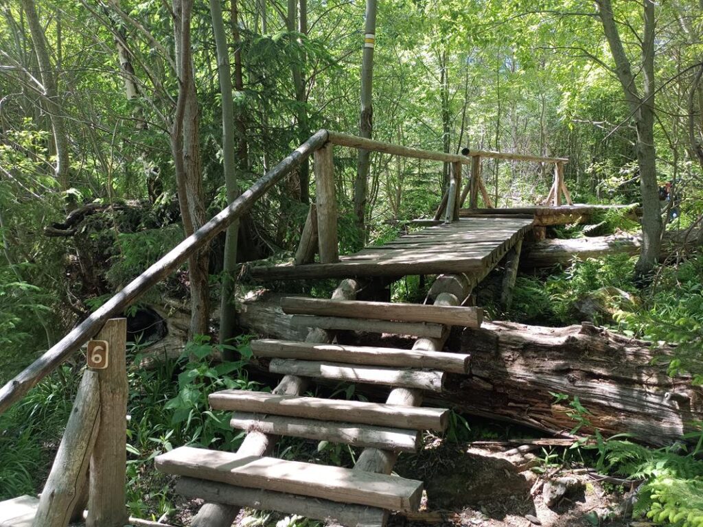 Szlakiem białej Opawy na szczyt góry pradziad w czechach - vlog steina