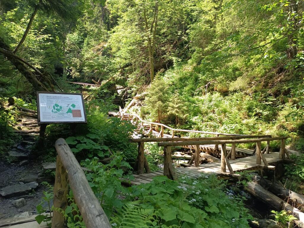 Szlakiem białej Opawy na szczyt góry pradziad w czechach - vlog steina