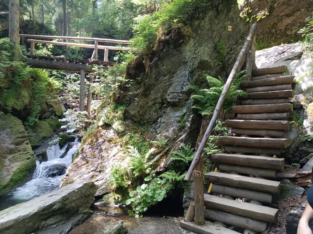 Szlakiem białej Opawy na szczyt góry pradziad w czechach - vlog steina