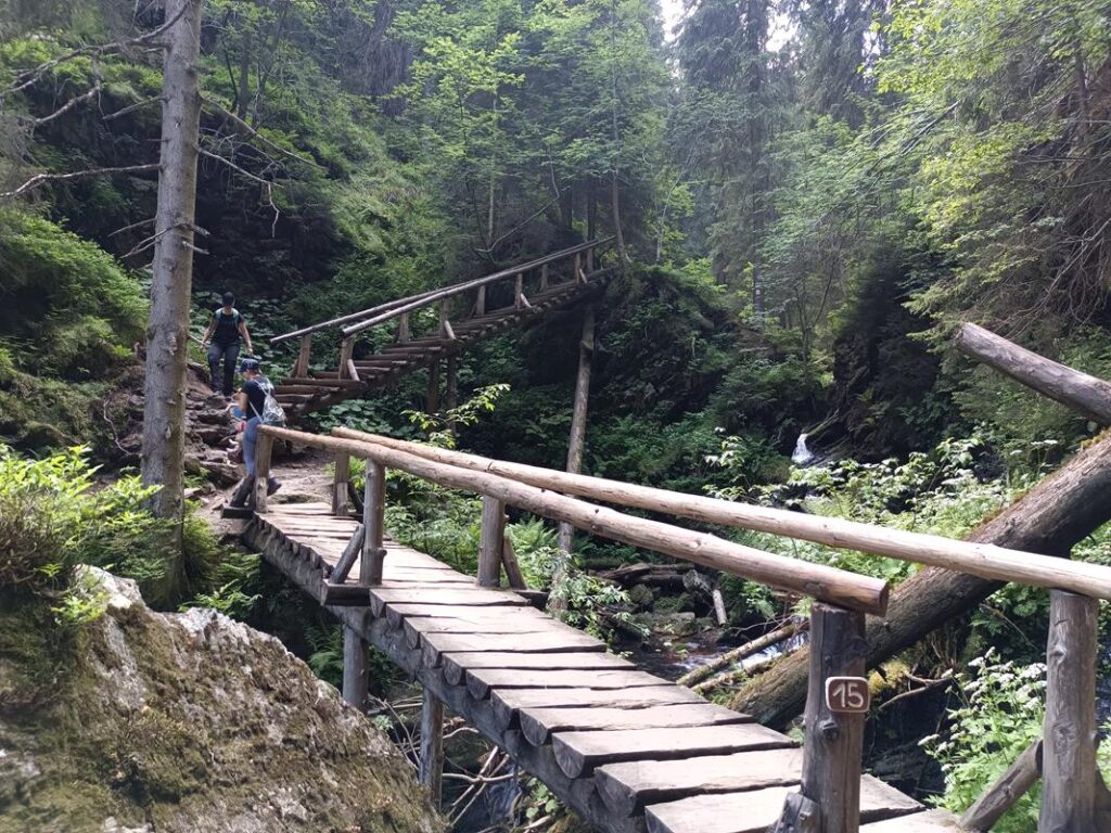 Szlakiem białej Opawy na szczyt góry pradziad w czechach - vlog steina