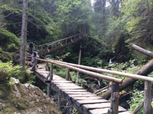 Szlakiem białej Opawy na szczyt góry pradziad w czechach - vlog steina