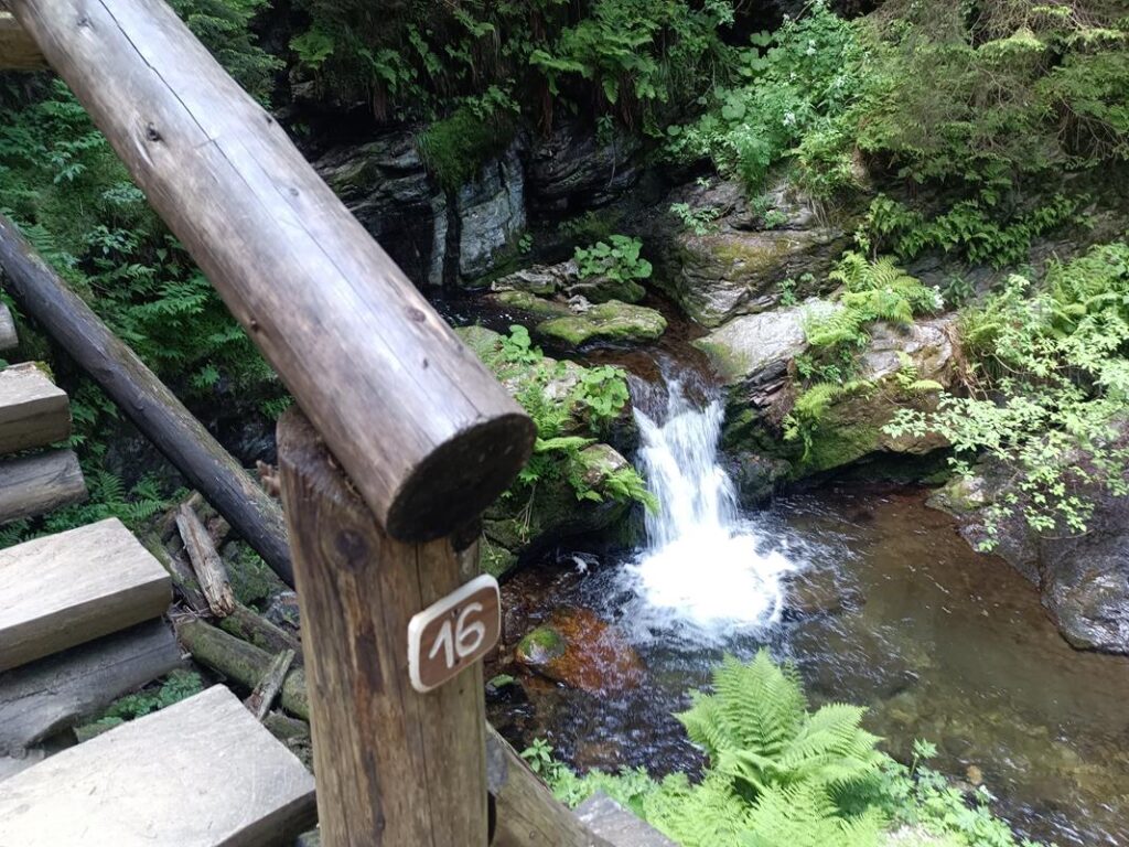 Szlakiem białej Opawy na szczyt góry pradziad w czechach - vlog steina