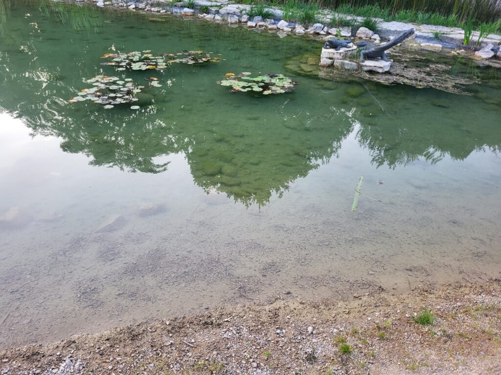 Geosfera w Jaworznie - Vlog podróżniczy Steina