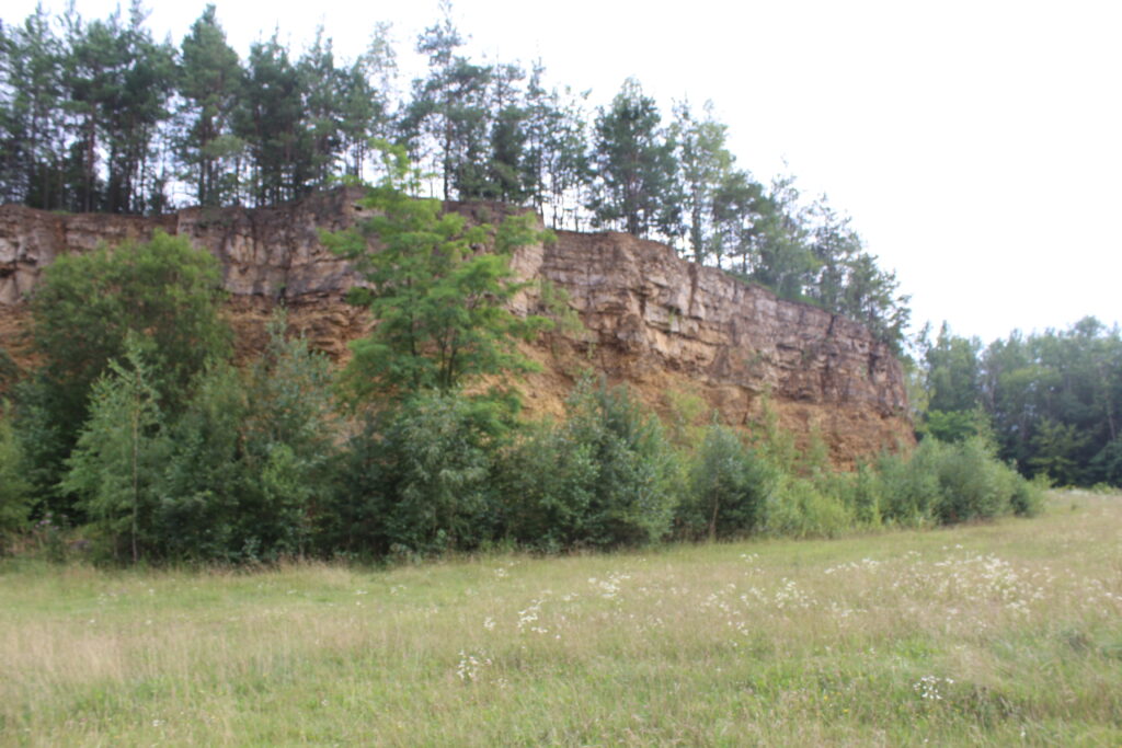 Park Gródek - Polskie Malediwy w Jaworznie - Vlog podróżniczy Steina