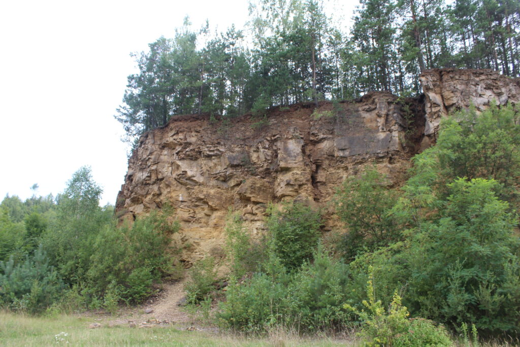 Park Gródek - Polskie Malediwy w Jaworznie - Vlog podróżniczy Steina
