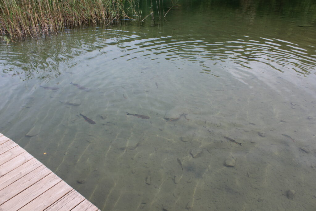 Polskie Malediwy - Jaworzno - Vlog podróżniczy steina