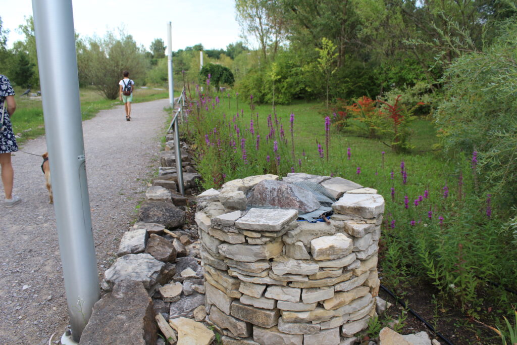 Geosfera w Jaworznie - Vlog podróżniczy Steina