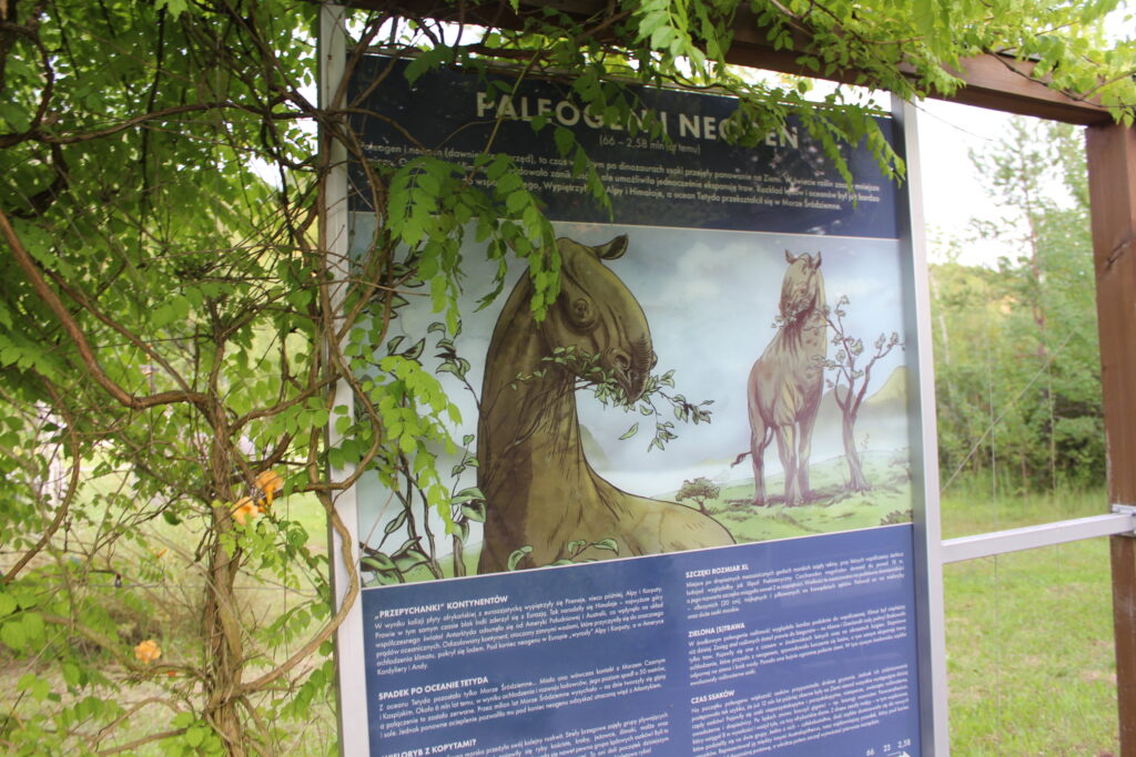 Geosfera Jaworzno - dinozaury - Vlog podróżniczy steina