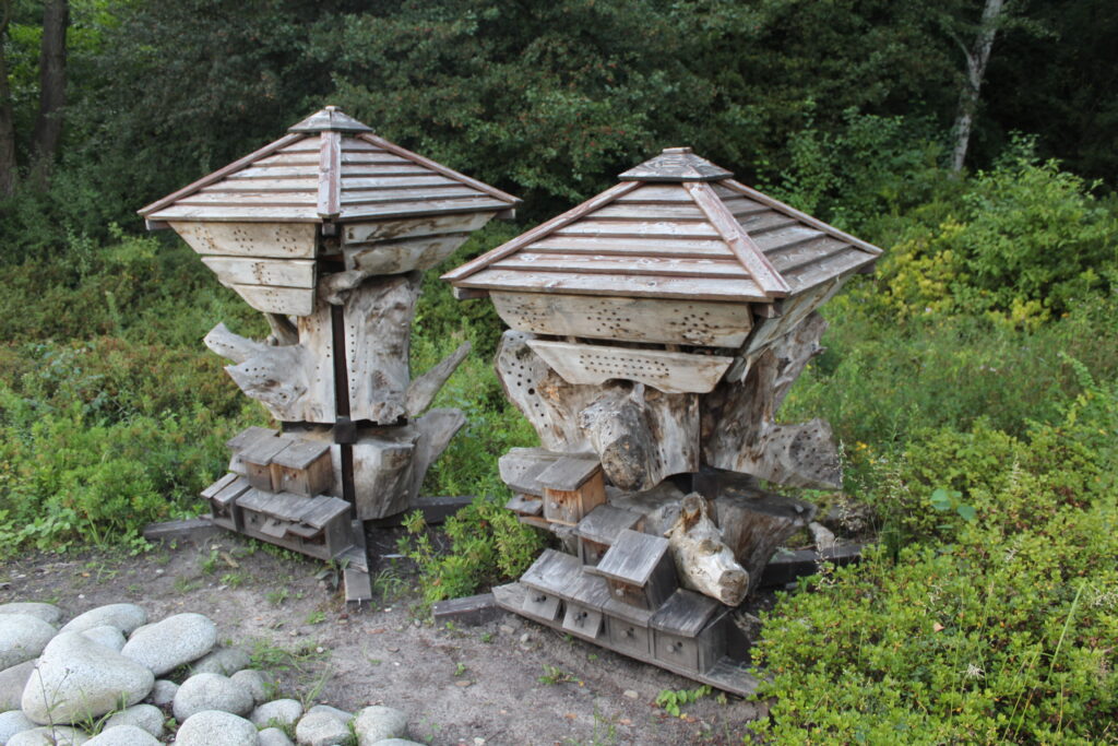 Geosfera w Jaworznie - Vlog podróżniczy Steina