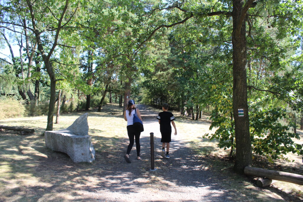 Wieża widokowa Strážiště w Uvalno w Czechach - Vlog podróżniczy Steina