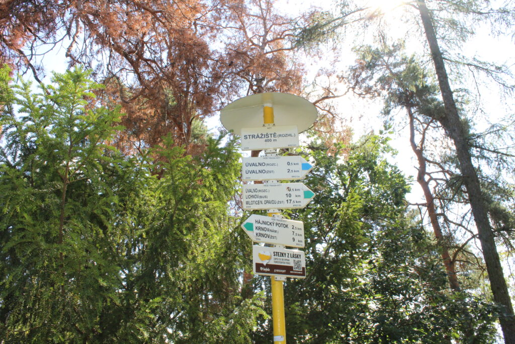 Wieża widokowa Strážiště w Uvalno w Czechach - Vlog podróżniczy Steina