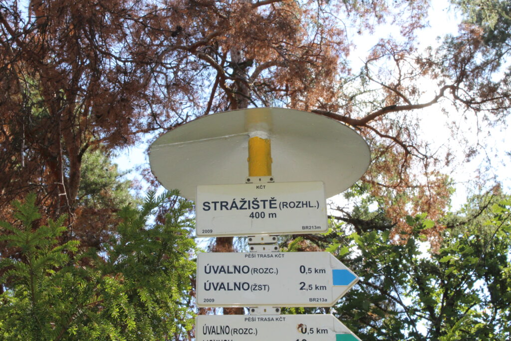 Wieża widokowa Strážiště w Uvalno w Czechach - Vlog podróżniczy Steina