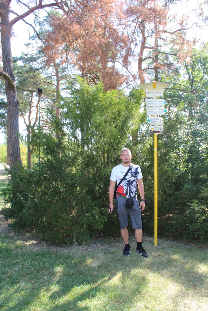 Wieża widokowa Strážiště w Uvalno w Czechach - Vlog podróżniczy Steina