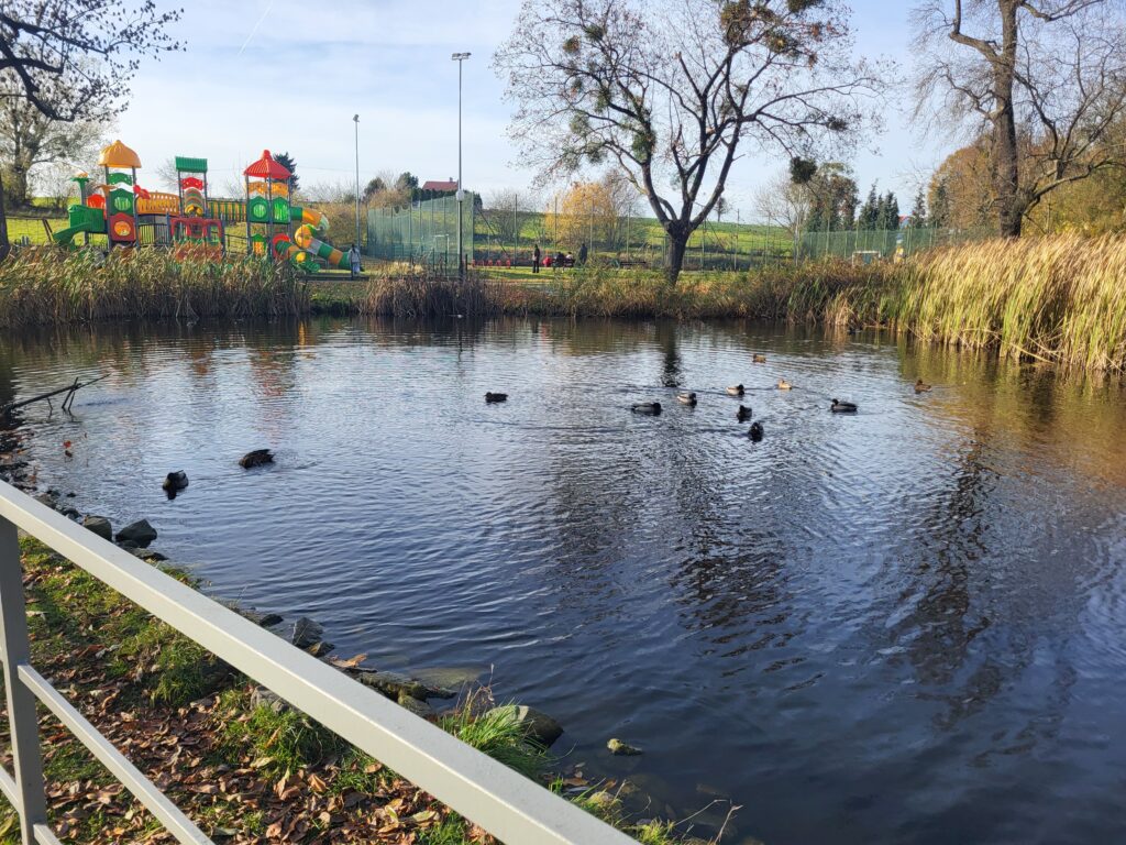 Nowe molo przystań w Krowiarkach - Vlog podróżniczy steina