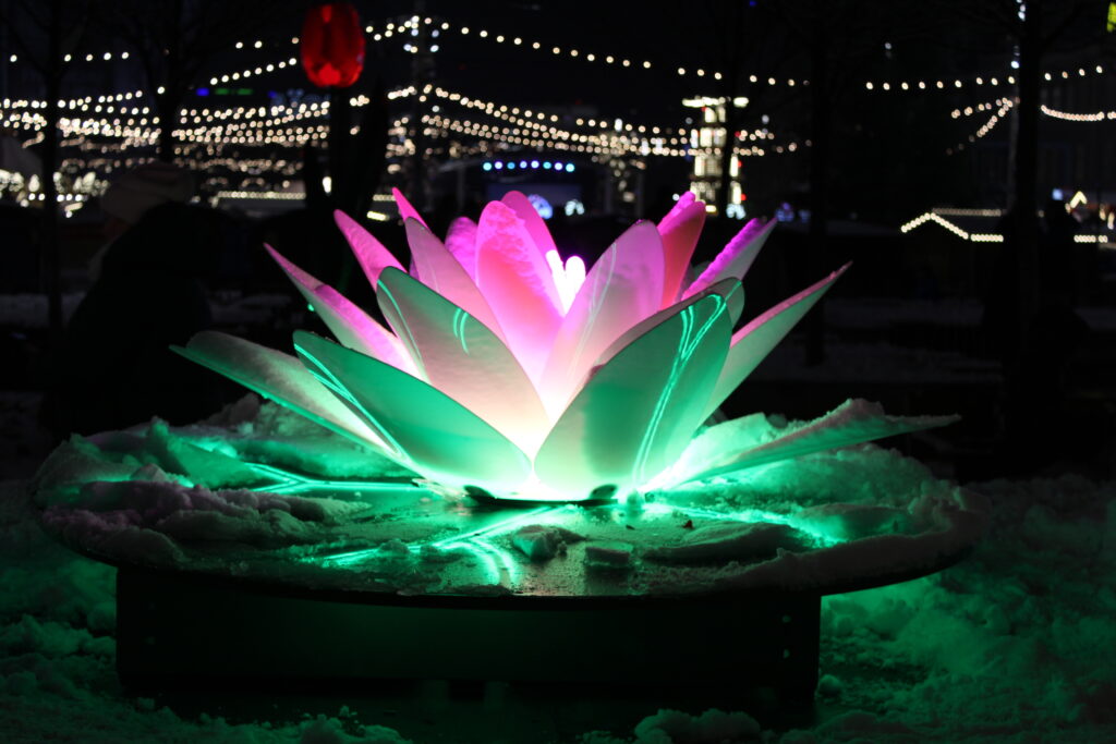 Jarmark bożonarodzeniowy Katowice 2025 - vlog podróżniczy steina