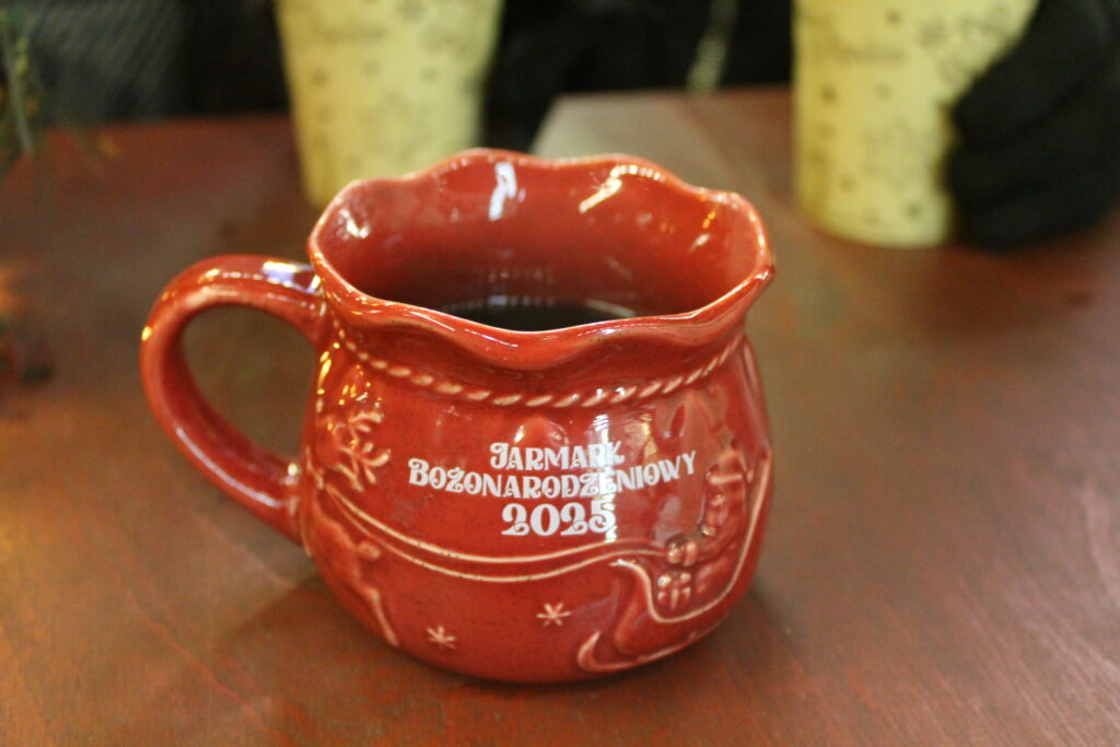 Jarmark bożonarodzeniowy Katowice 2025 - vlog podróżniczy steina