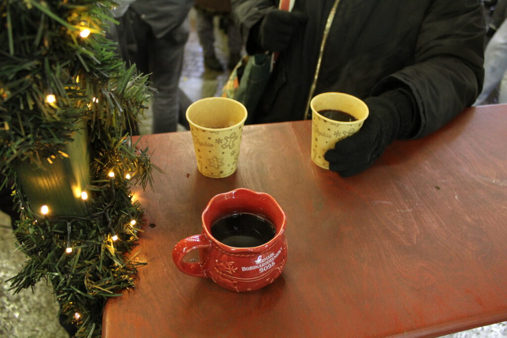Jarmark bożonarodzeniowy Katowice 2025 - vlog podróżniczy steina