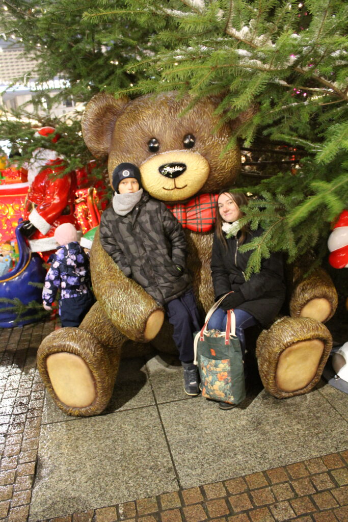 Jarmark bożonarodzeniowy Katowice 2025 - vlog podróżniczy steina