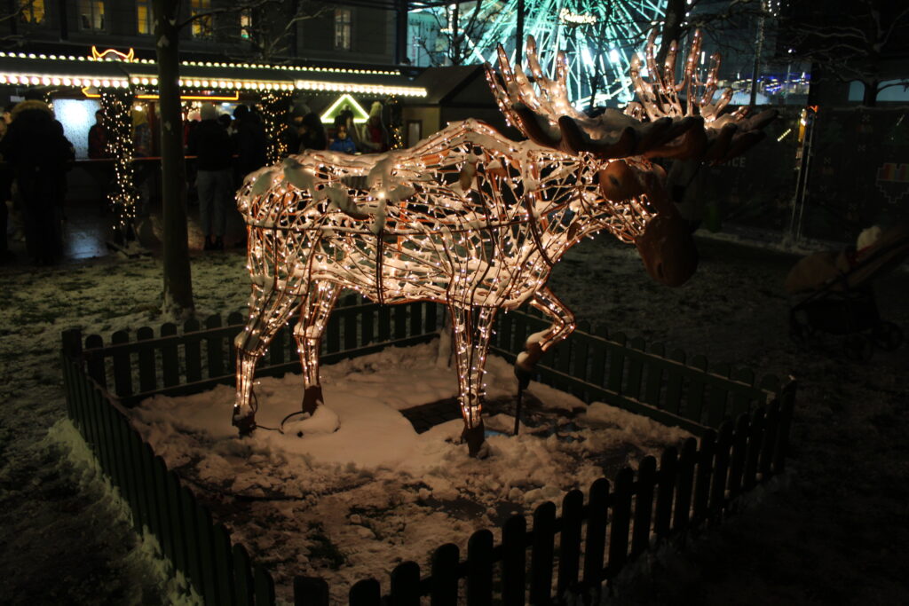 Jarmark bożonarodzeniowy Katowice 2025 - vlog podróżniczy steina