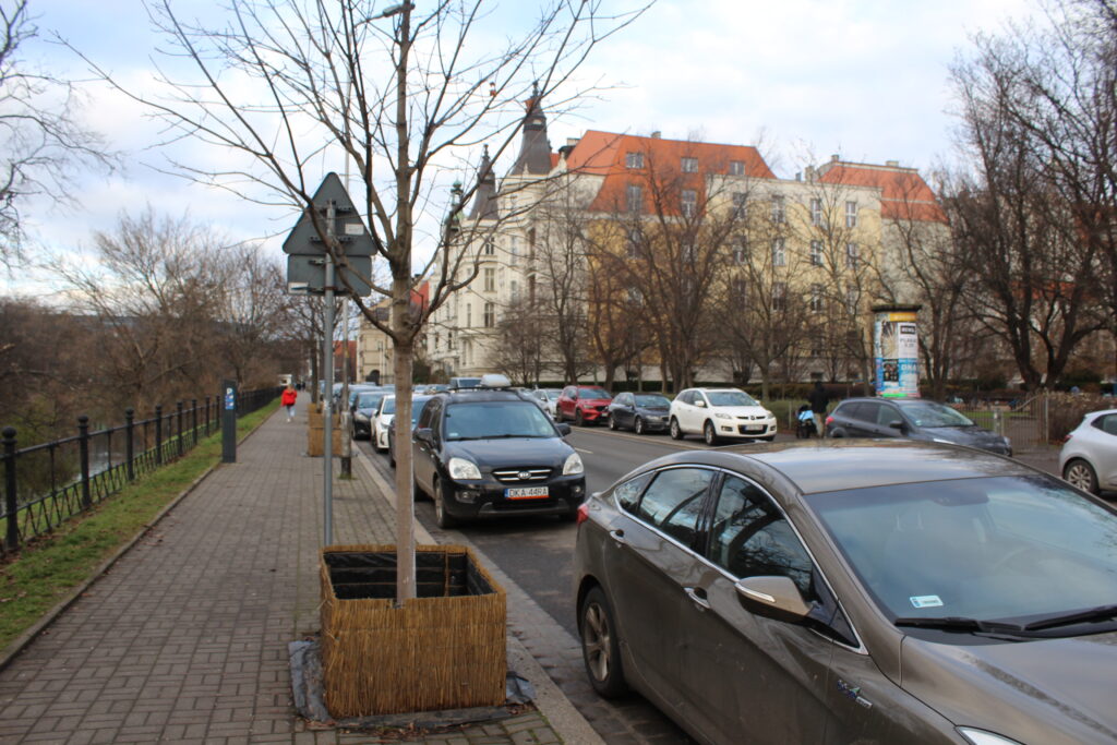 Jarmark bożonarodzeniowy w Wrocławiu 2025 - Vlog podróżniczy Steina