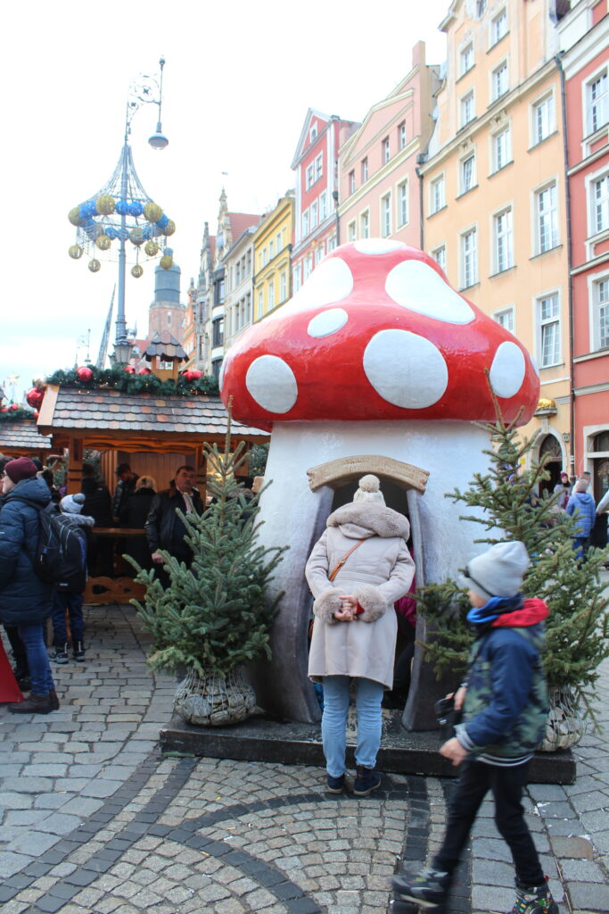 Jarmark bożonarodzeniowy w Wrocławiu 2025 - Vlog podróżniczy Steina